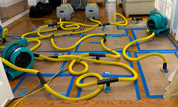 Professional Sewage Cleanup technician working in Assonet, MA